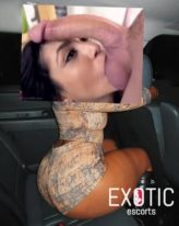 Sara