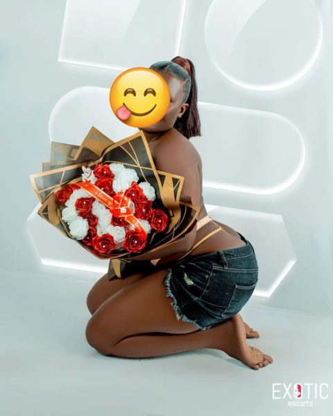 Rechol — 2