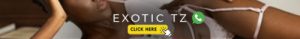 Exotic TZ